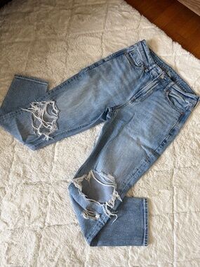 American Eagle Outfitters Strigid Mom Jeans 4 Short